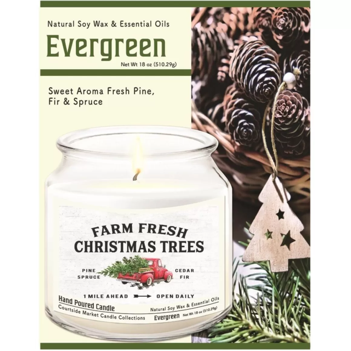 Courtside Market Fresh Farm Trees Wax Infused Candle With Glass Lid